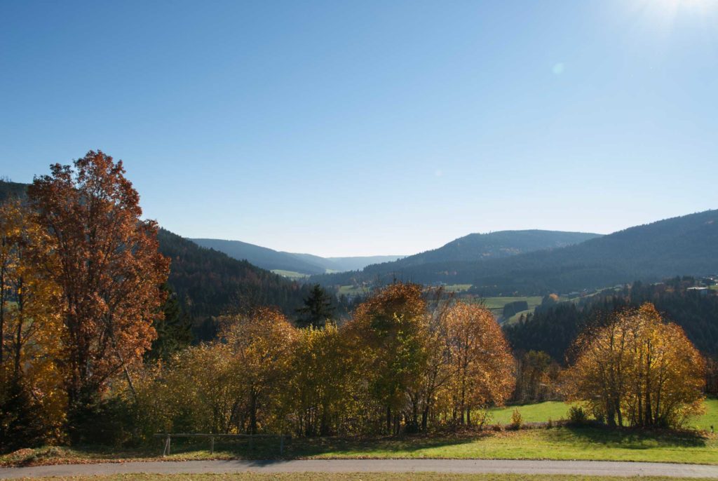 Hotel Sonne Baiersbronn: Herbstlicher Schwarzwald