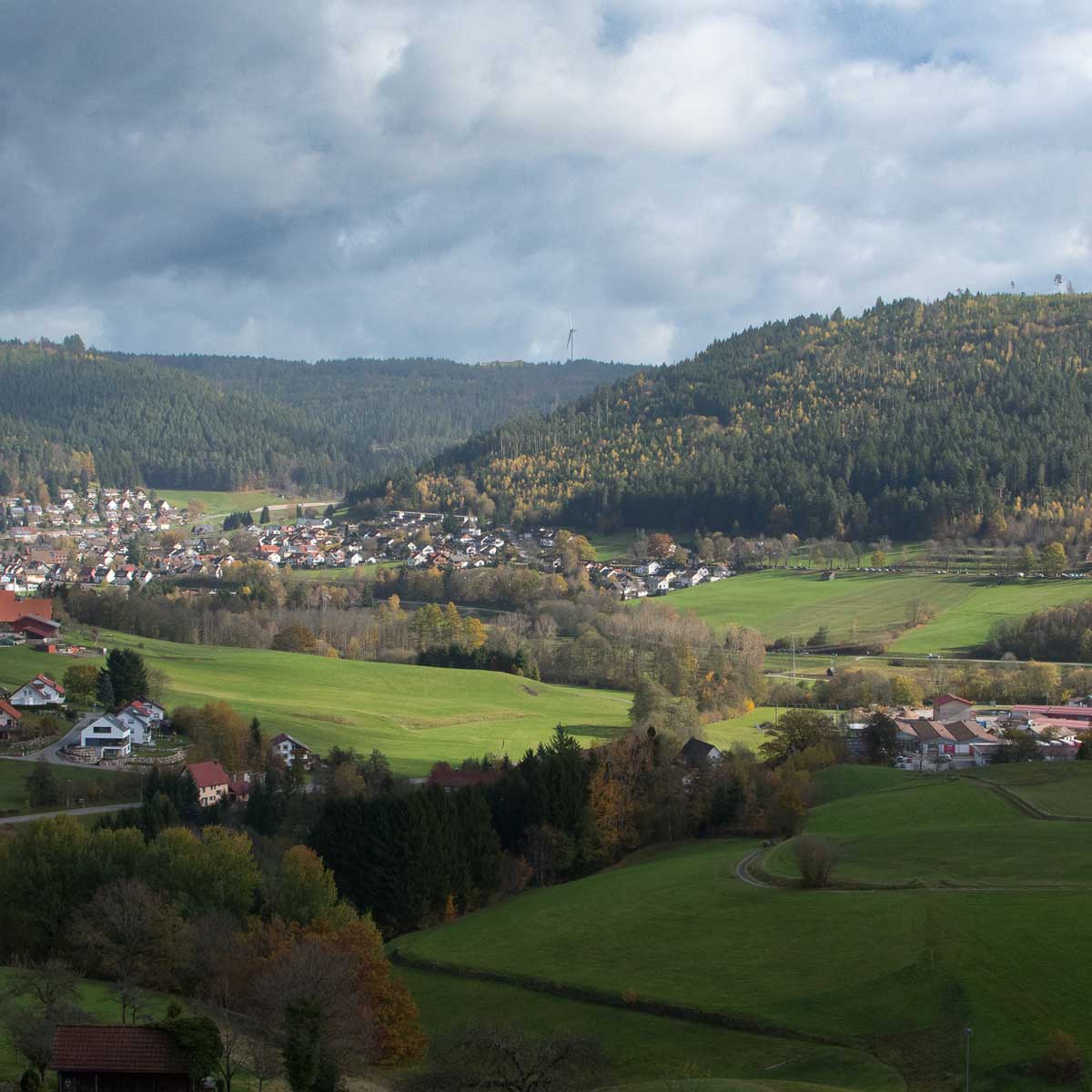 Blick vom Rinkenturm in Baiersbronn